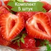 Саженцы земляники Фестивальная (Средняя) -  5 шт.: фото и описание